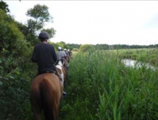  Horse riding near Ile de Guerande 